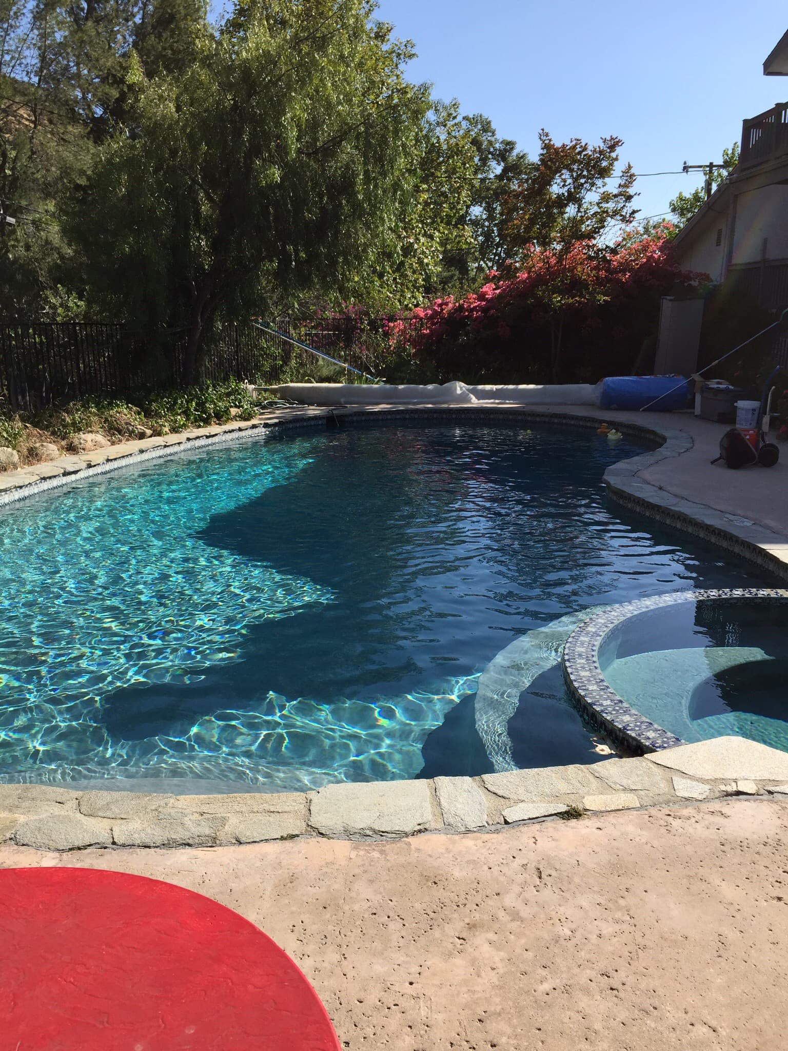 Pool after our service
