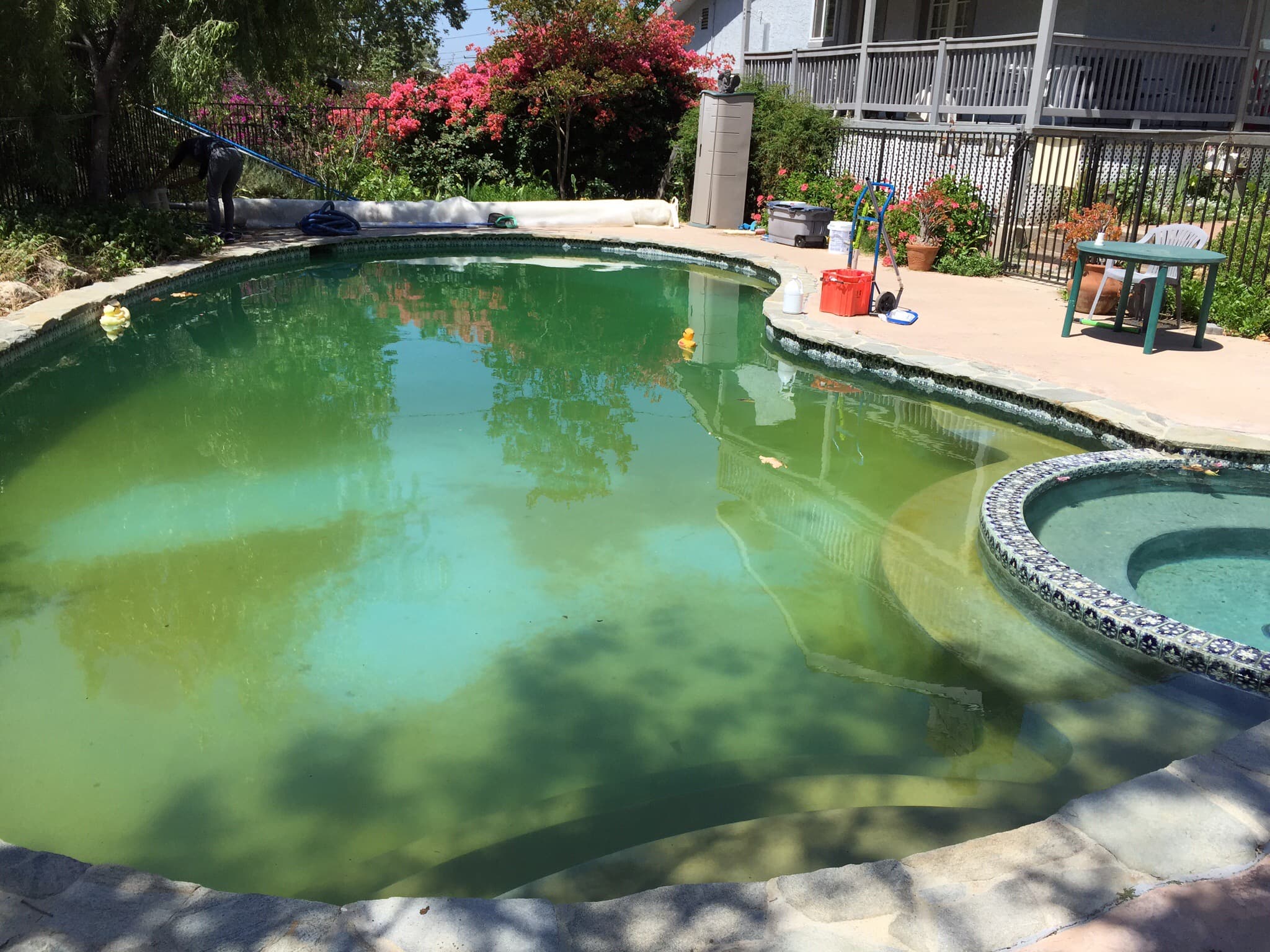 Pool before our service