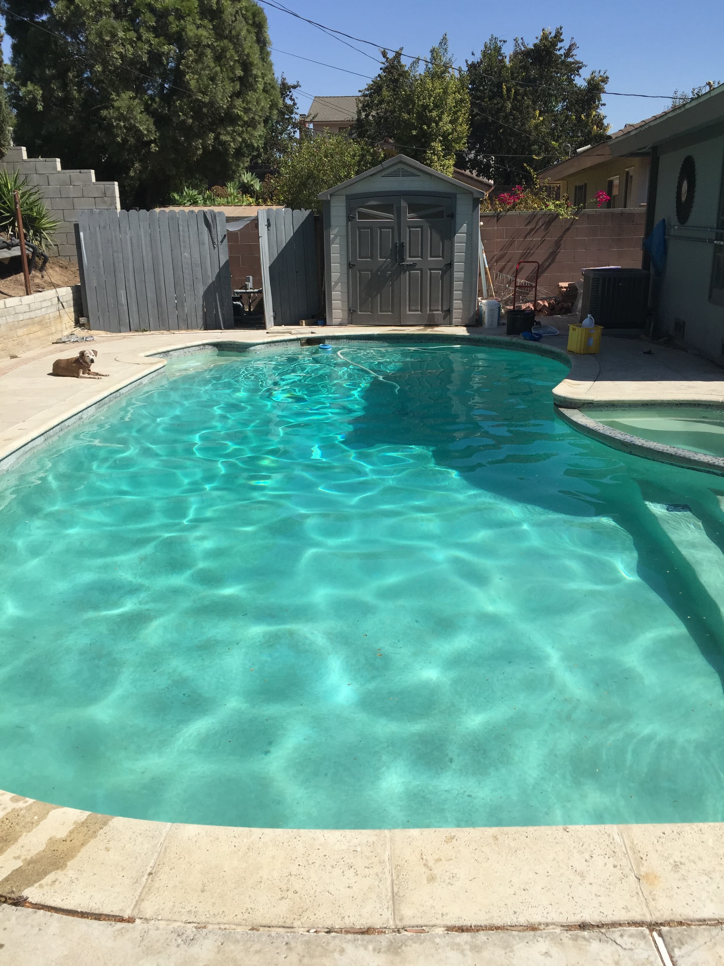 Pool before our service